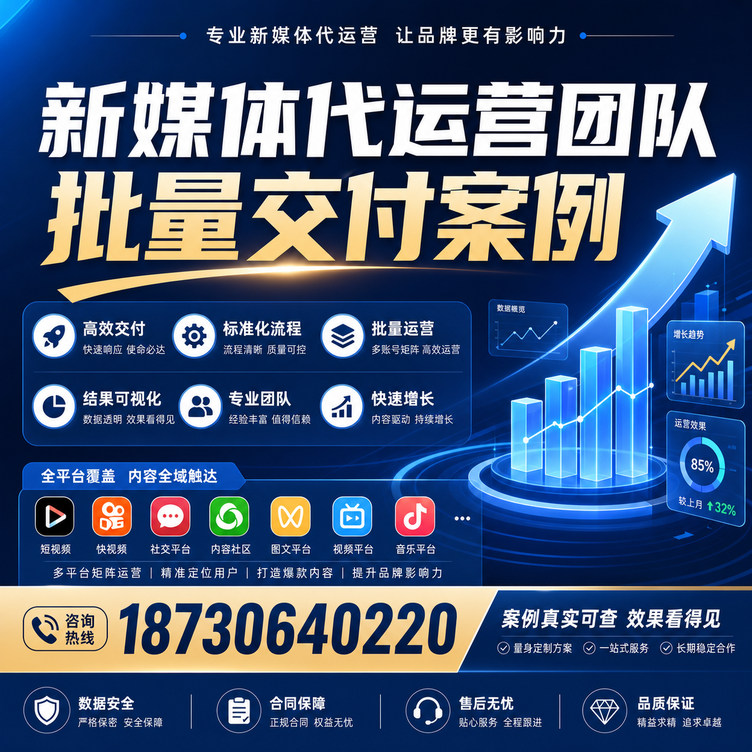 陵水代运营公司多客户账号批量高效交付案例
